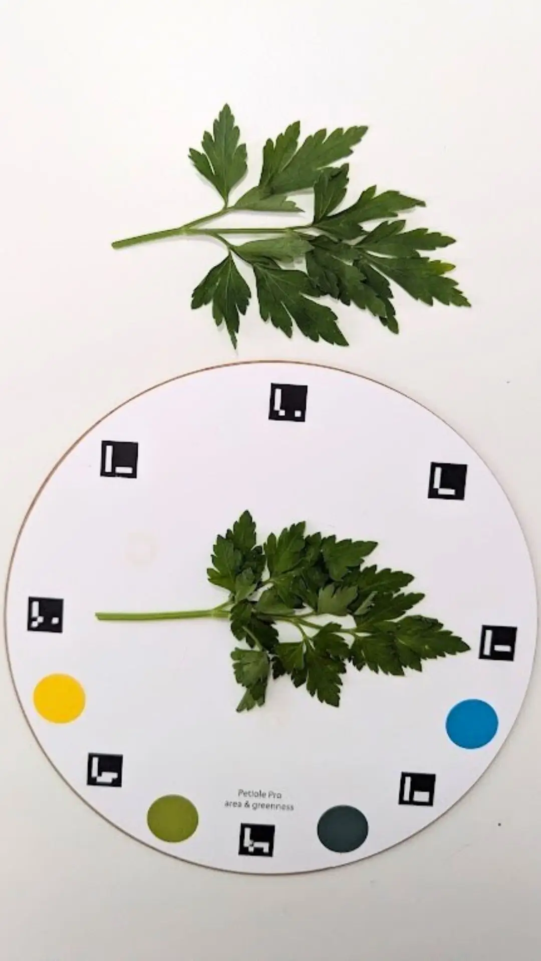 Calibration plate photo where all 8 ArUco markers are clearly visible.