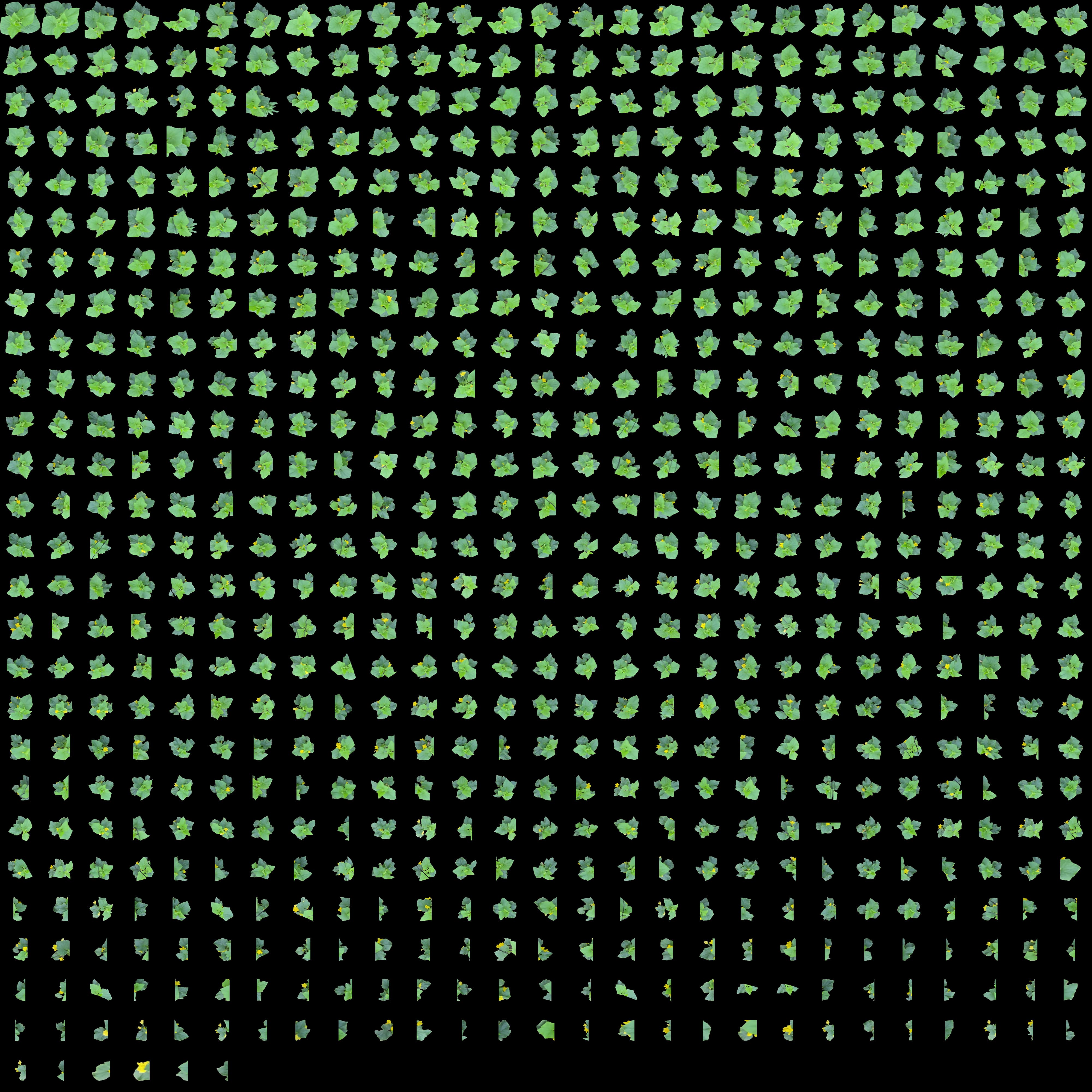 Plant data asset management