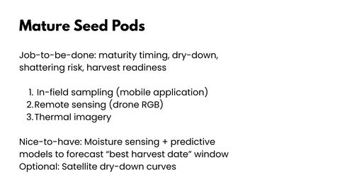 Slide titled Mature Seed Pods listing the job to be done as maturity timing, dry-down, shattering risk and harvest readiness, with in-field sampling, drone RGB and thermal imagery as methods, and moisture sensing plus predictive models to forecast the best harvest date window as nice-to-have.