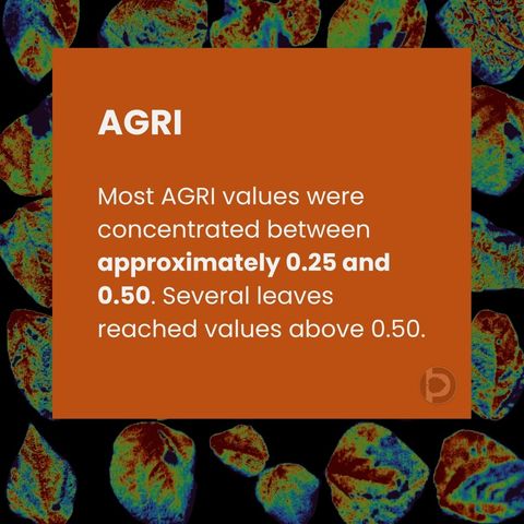 Statement card: most AGRI values were concentrated between approximately 0.25 and 0.50, with several leaves reaching values above 0.50.