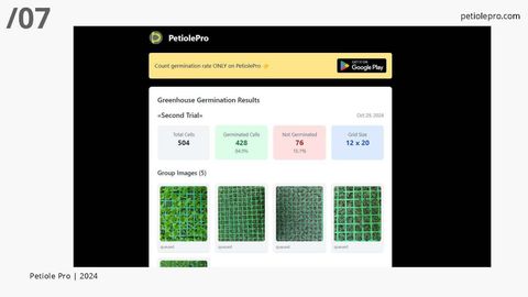 Shareable Petiole Pro web report titled 'Greenhouse Germination Results' for 'Second Trial', dated 29 October 2024, showing total cells, germinated cells, not germinated cells, a 12 × 20 grid size and a group of five tray photos.