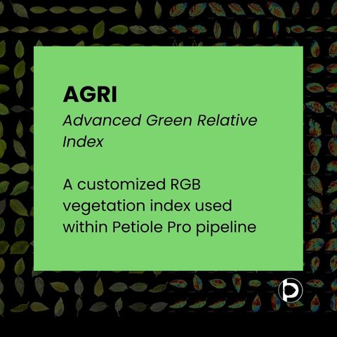 Card defining AGRI, the Advanced Green Relative Index, as a customised RGB vegetation index used within the Petiole Pro pipeline.