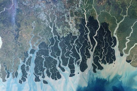 Satellite view of the Sundarbans delta showing dark green mangrove islands dissected by a dense network of pale tidal channels emptying into the Bay of Bengal.