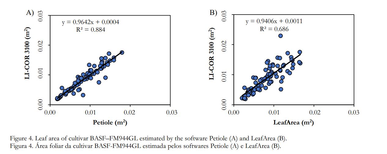 Two scatter plots for cultivar BASF FM944GL: Petiole versus LI-COR 3100 with R squared 0.884, and LeafArea versus LI-COR 3100 with R squared 0.686.