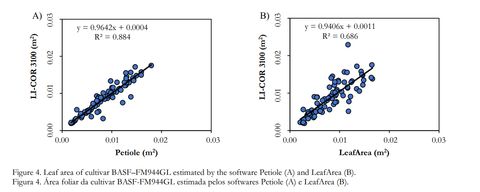 Two scatter plots for cultivar BASF FM944GL: Petiole versus LI-COR 3100 with R squared 0.884, and LeafArea versus LI-COR 3100 with R squared 0.686.