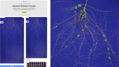 Two panels: a Soybean Nodules Counter web tool showing a soybean root scan on a blue background with detected nodules marked, and a large zoomed view of the same root system with 30 nodules each marked by a green box.