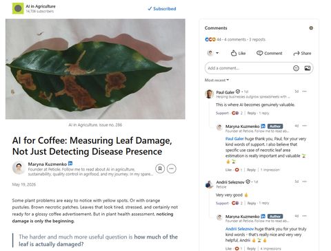 Petiole Pro LinkedIn newsletter titled AI for Coffee: Measuring Leaf Damage, Not Just Detecting Disease Presence, showing a coffee leaf with necrotic patches.