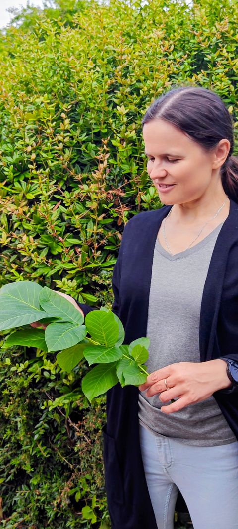 Dr Maryna Kuzmenko, founder of Petiole Pro, holding a spray of leaves in front of a green hedge.