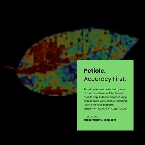 A single leaf rendered as a detailed false-colour greenness heat map beside a green card reading ‘Petiole. Accuracy First.’ with the method and experiment details for Experiment No. 005.