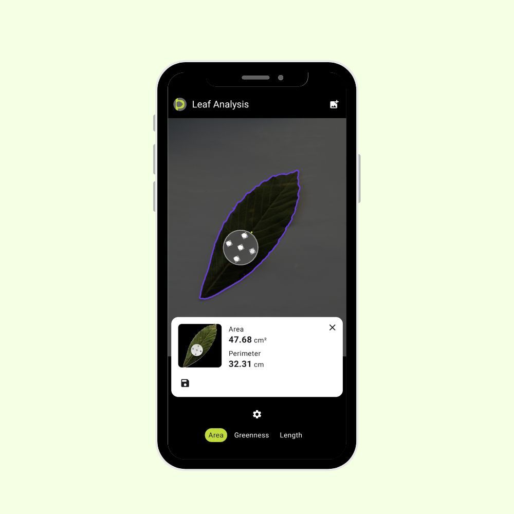 Petiole Pro Leaf Analysis screen on a phone showing a dark leaf outlined in purple with a circular calibration marker on it, reporting area 47.68 cm² and perimeter 32.31 cm.
