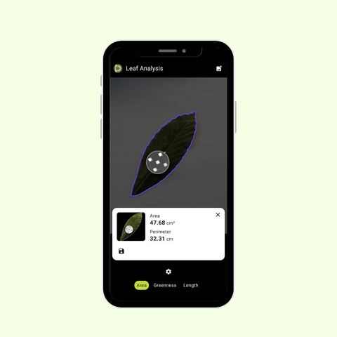 Petiole Pro Leaf Analysis screen on a phone showing a dark leaf outlined in purple with a circular calibration marker on it, reporting area 47.68 cm² and perimeter 32.31 cm.