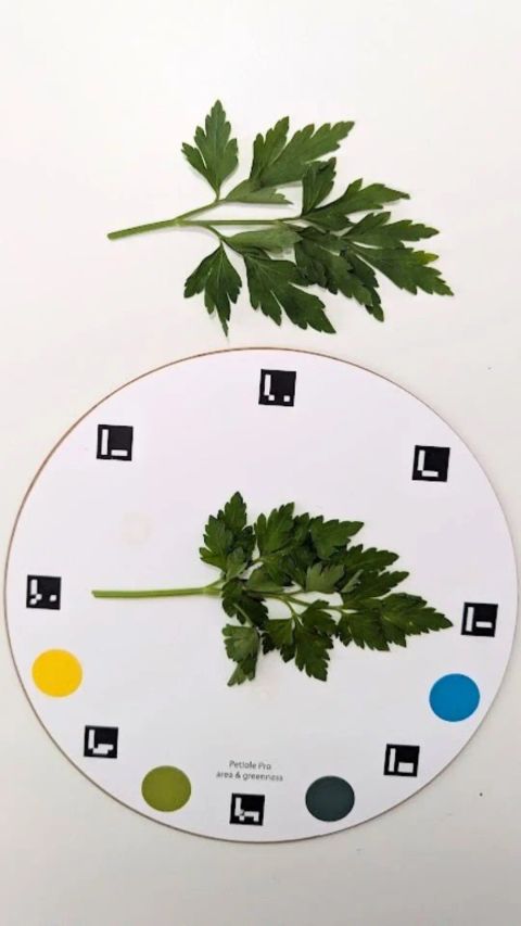 Calibration plate photo where all 8 ArUco markers are clearly visible.