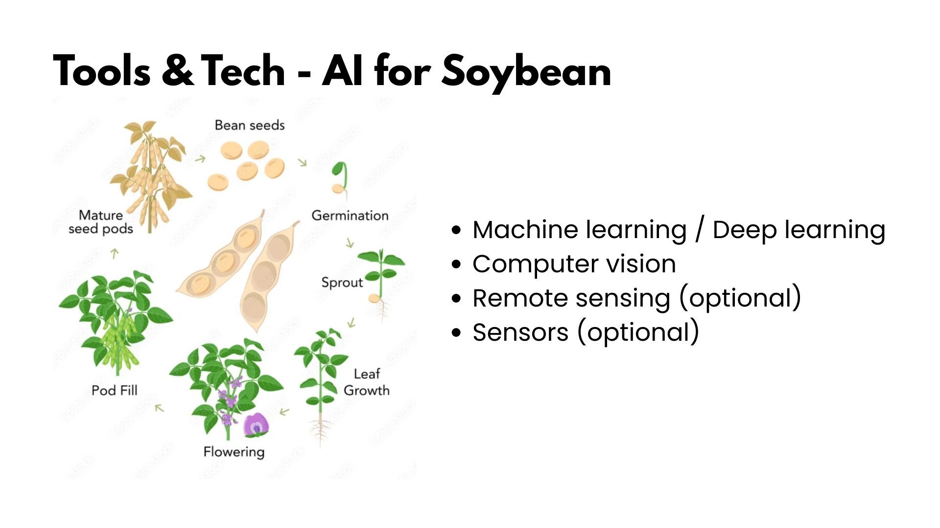 Slide titled Tools and Tech - AI for Soybean, with a soybean life-cycle diagram showing bean seeds, germination, sprout, leaf growth, flowering, pod fill and mature seed pods, beside a list: machine learning / deep learning, computer vision, remote sensing (optional), sensors (optional).