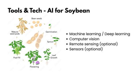 Slide titled Tools and Tech - AI for Soybean, with a soybean life-cycle diagram showing bean seeds, germination, sprout, leaf growth, flowering, pod fill and mature seed pods, beside a list: machine learning / deep learning, computer vision, remote sensing (optional), sensors (optional).