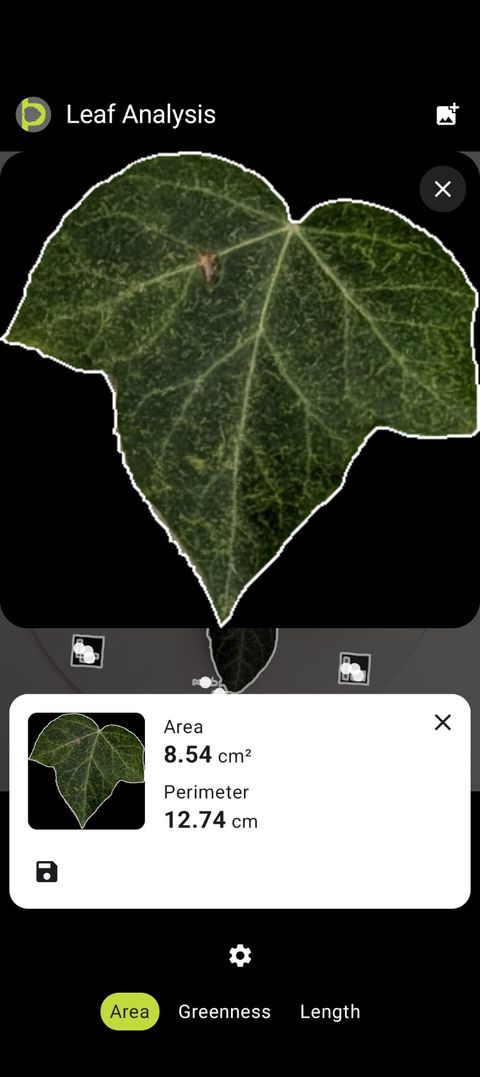 Petiole Pro Leaf Analysis screen showing a leaf measured at 8.54 cm squared area and 12.74 cm perimeter.