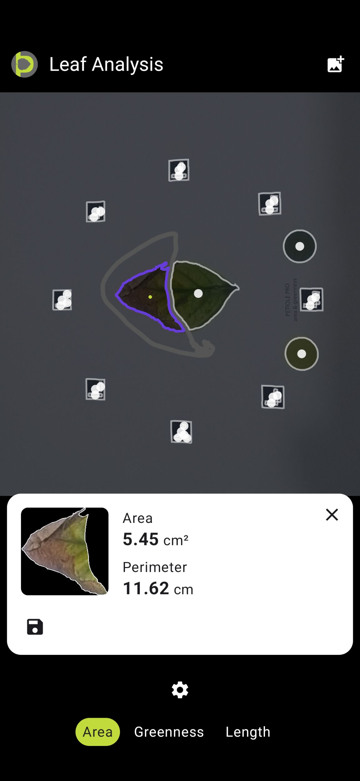Petiole Pro Leaf Analysis screen with the necrotic contour selected, showing area 5.45 cm² and perimeter 11.62 cm.