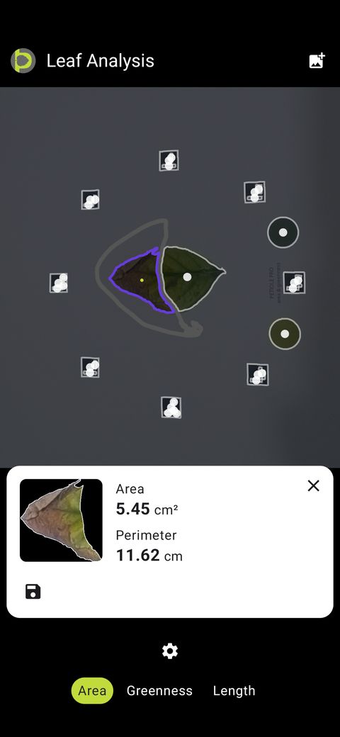 Petiole Pro Leaf Analysis screen with the necrotic contour selected, showing area 5.45 cm² and perimeter 11.62 cm.