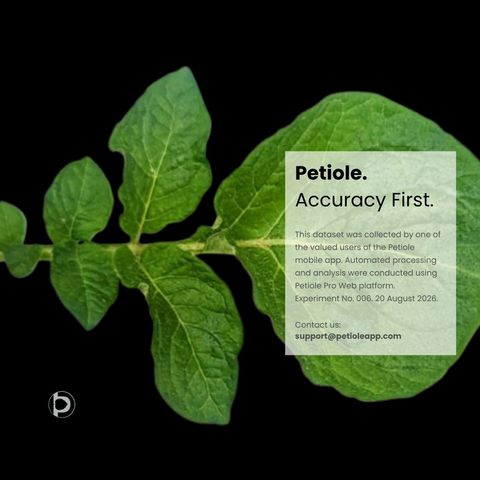 A single potato compound leaf segmented onto a black background, showing a large rounded terminal leaflet, paired lateral leaflets decreasing in size along the rachis, and small interstitial leaflets between them.