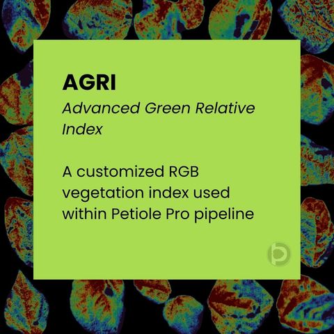 Card defining AGRI, the Advanced Green Relative Index, as a customised RGB vegetation index used within the Petiole Pro pipeline.