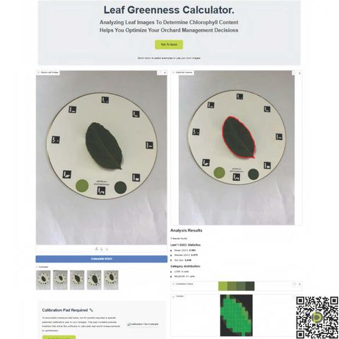 Petiole Leaf Greenness Calculator: an apple leaf on the calibration plate with its two green reference patches, the leaf outlined in red, DGCI statistics for the leaf, the colour-correction swatches and a grid map of the leaf shaded by greenness category.