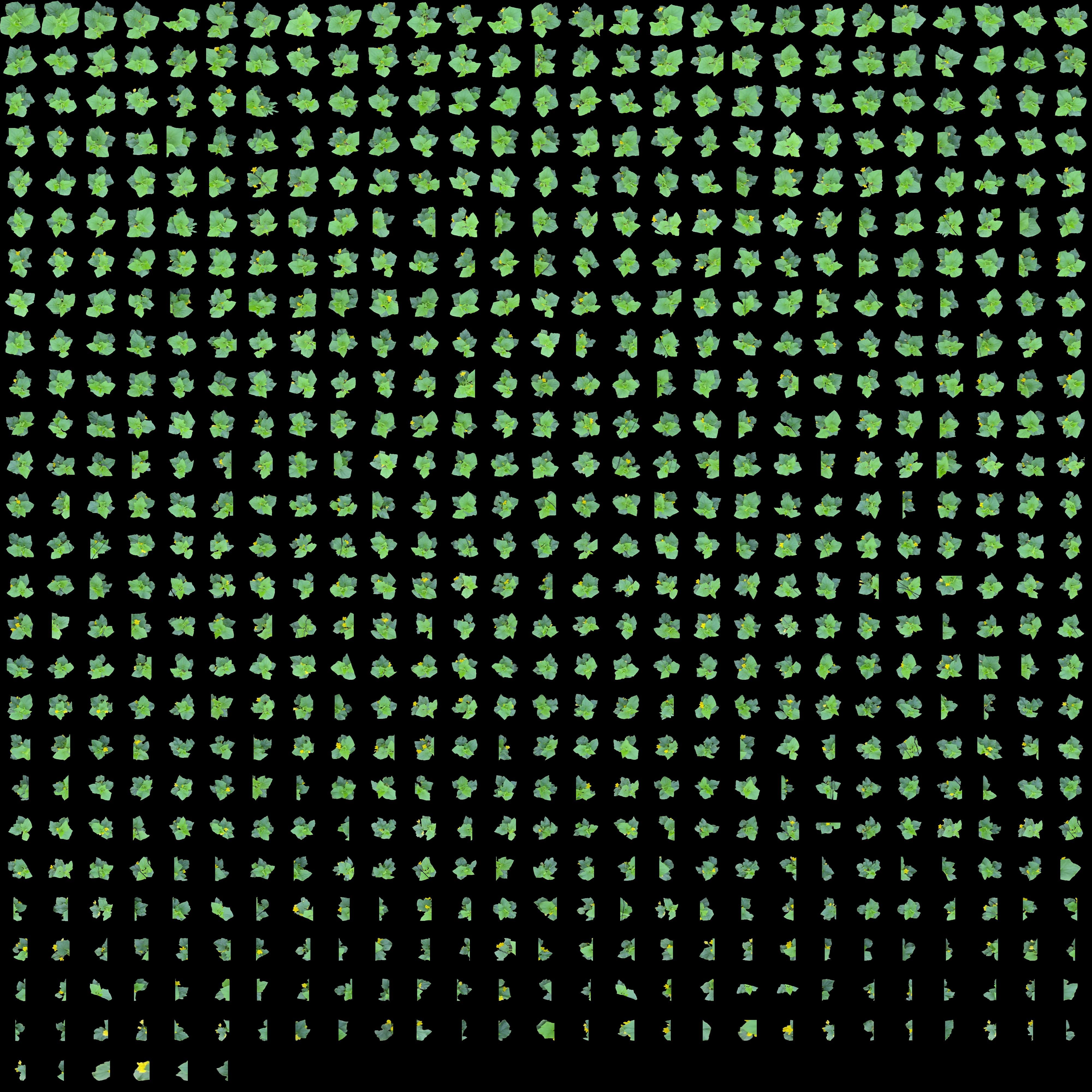 Plant data asset management