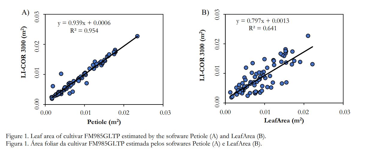 Two scatter plots for cultivar FM985GLTP: Petiole versus LI-COR 3100 with R squared 0.954, and LeafArea versus LI-COR 3100 with R squared 0.641.