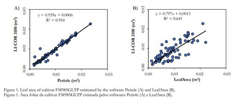 Two scatter plots for cultivar FM985GLTP: Petiole versus LI-COR 3100 with R squared 0.954, and LeafArea versus LI-COR 3100 with R squared 0.641.
