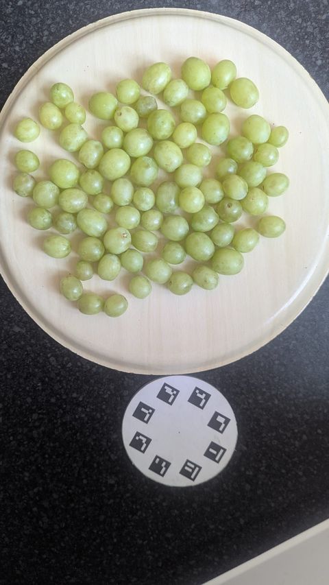 Green grapes arranged on a pale wooden plate on a dark counter, with a round Petiole Pro calibration plate placed below them.