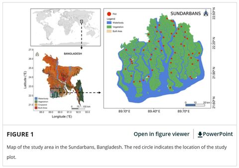 Figure 1 from the paper: a locator map of the world and Bangladesh, with a detailed map of the Sundarbans showing red dots for each of the study plots across the forest.