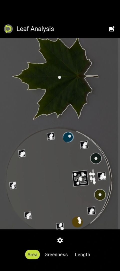 Leaf Analysis screen before the measurement result panel appears