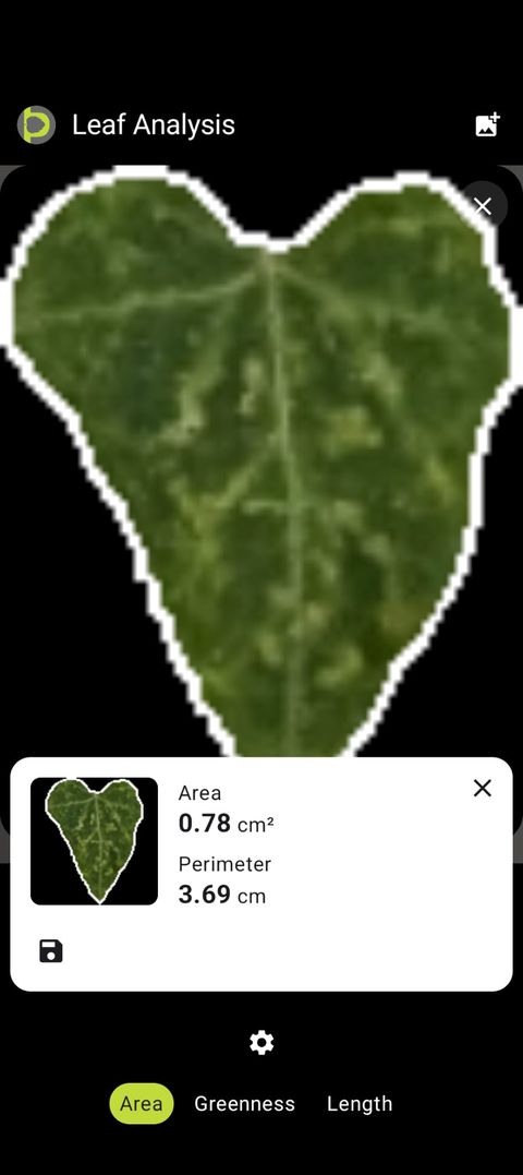 Petiole Pro Leaf Analysis screen showing a tiny heart-shaped leaf measured at 0.78 cm squared area and 3.69 cm perimeter.