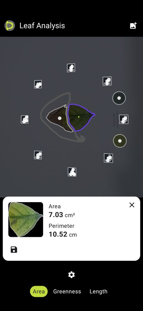 Petiole Pro Leaf Analysis screen showing the leaf split into two contours, with the healthy region measured at area 7.03 cm² and perimeter 10.52 cm.