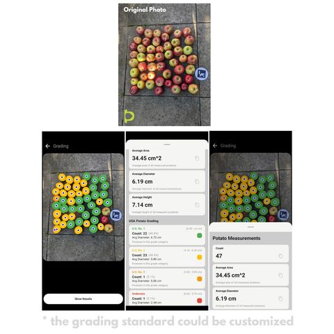 A photo of 47 apples laid on paving next to a small Petiole calibration plate, and three Petiole Pro screens where every apple is detected, marked with a coloured dot by size grade, and summarised as a count of 47 with an average diameter of 6.19 cm.