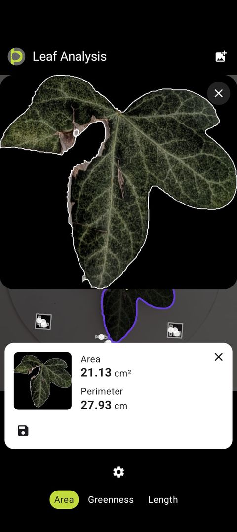 Petiole Pro Leaf Analysis screen showing a leaf outlined in white against a black background, with an area of 21.13 cm squared and a perimeter of 27.93 cm.