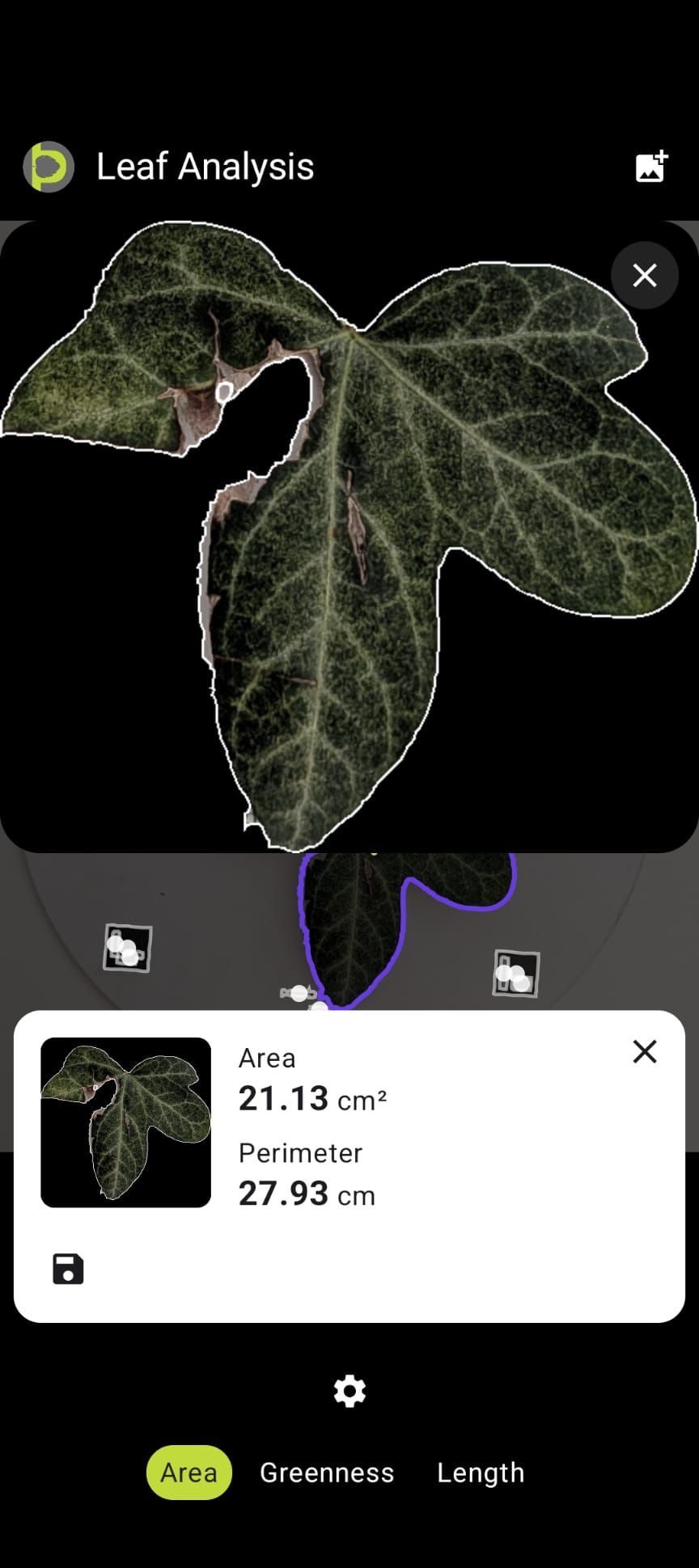 Petiole Pro Leaf Analysis screen showing a leaf outlined in white against a black background, with an area of 21.13 cm squared and a perimeter of 27.93 cm.