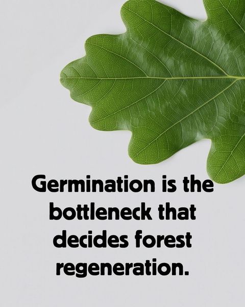Green oak leaf on a grey background with the caption 'Germination is the bottleneck that decides forest regeneration.'