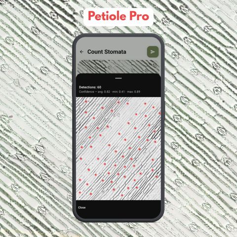Petiole Pro cover: a smartphone showing the Count Stomata screen with a microscope image of a leaf surface, set against a larger micrograph of leaf epidermis.