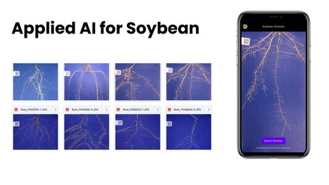 Slide titled Applied AI for Soybean, showing a folder of soybean root images labelled Root_PI209331 and similar, and a phone screen titled Soybean Nodules with a Detect Nodules button.