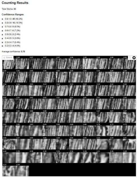 Counting results panel showing a total of 83 stomata, the number of detections in each confidence range and an average confidence of 0.78, above a gallery of cropped detections.