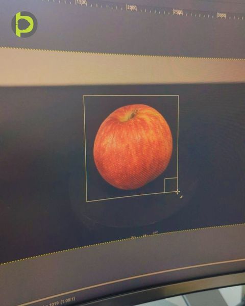 A computer monitor showing a single red-and-yellow apple isolated from its background and enclosed in a detection bounding box.