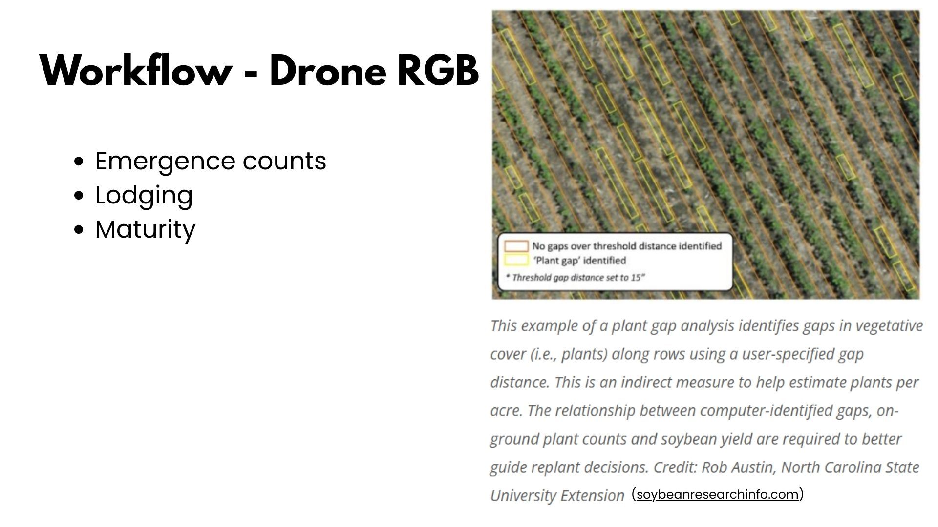 Slide titled Workflow - Drone RGB listing emergence counts, lodging and maturity, beside an aerial image of soybean rows with yellow boxes marking identified plant gaps and orange boxes marking rows with no gaps over the threshold distance.
