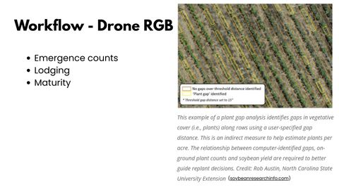 Slide titled Workflow - Drone RGB listing emergence counts, lodging and maturity, beside an aerial image of soybean rows with yellow boxes marking identified plant gaps and orange boxes marking rows with no gaps over the threshold distance.