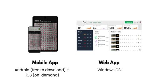 Slide showing a phone and tablet running a germination detection screen labelled Mobile App — Android (free to download) plus iOS (on-demand) — beside a Petiole Pro web dashboard showing seedlings scored today, time per 100 scores, crops, tasks and recent scores, labelled Web App — Windows OS.