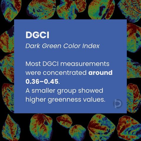 Statement card: most DGCI measurements were concentrated around 0.36 to 0.45, with a smaller group showing higher greenness values.