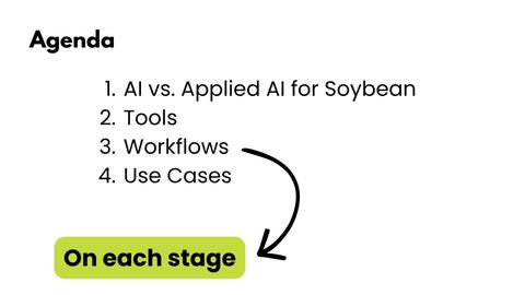 Agenda slide listing four items: AI vs. Applied AI for Soybean, Tools, Workflows, Use Cases, with an arrow pointing to a green label reading On each stage.