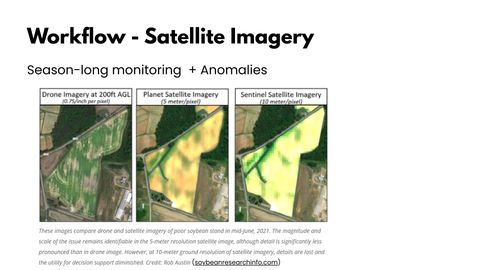Slide titled Workflow - Satellite Imagery comparing three views of the same soybean field: drone imagery at 200ft AGL at 0.75 inch per pixel, Planet satellite imagery at 5 metre per pixel, and Sentinel satellite imagery at 10 metre per pixel, with the field detail becoming progressively blockier.