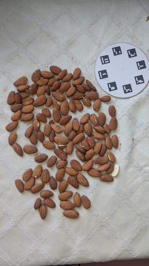 Loose almonds scattered on a cream quilted cloth beside a small round Petiole Pro calibration plate marked with ArUco patterns.