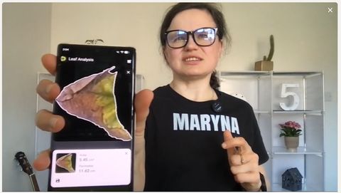 Dr Maryna Kuzmenko holding a phone showing the necrotic brown portion of the leaf measured at 5.45 cm².