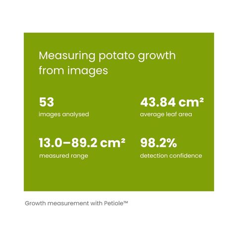 A green summary card headed 'Measuring potato growth from images', reporting 53 images analysed, 43.84 square centimetres average leaf area, a measured range of 13.0 to 89.2 square centimetres, and 98.2 per cent detection confidence.