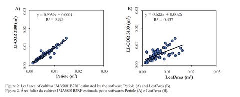 Two scatter plots for cultivar IMA5801B2RF: Petiole versus LI-COR 3100 with R squared 0.925, and LeafArea versus LI-COR 3100 with R squared 0.437.